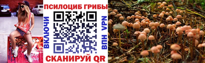 Галлюциногенные грибы GOLDEN TEACHER  Купить  Полесск 